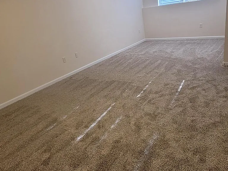 2938 Donjoy Dr — Photo 7