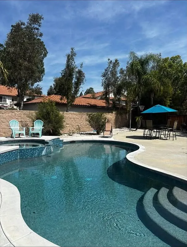 1 bed, $900 — Photo 2