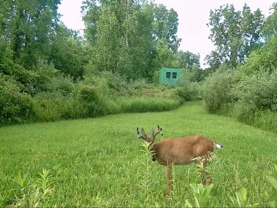 5498 Piersonville Rd, Columbiaville, MI, 48421