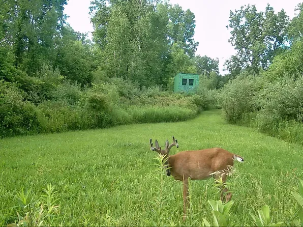 5498 Piersonville Rd, Columbiaville, MI 48421