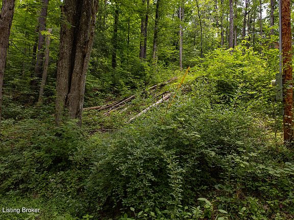 3rd image of 4 Black Bear Ridge Rd
