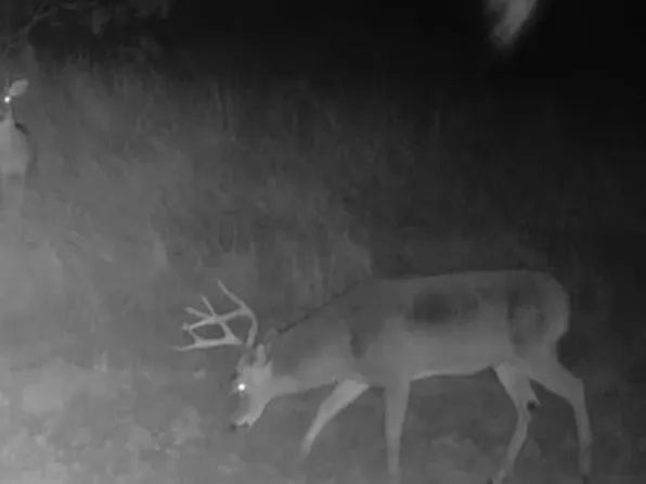 0 County Road 1115 #7, Paint Rock, TX 76866