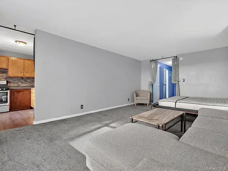 25 Franklin Ave #2K — Photo 5