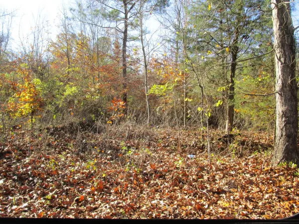 Old Chisholm Trl, Dandridge, TN 37725