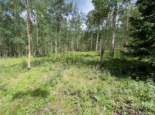 5369 Adams Rd #5369, Fort Garland, CO 81133