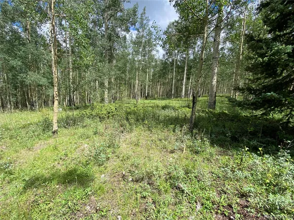 5369 Adams LOT 5369, Fort Garland, CO 81133