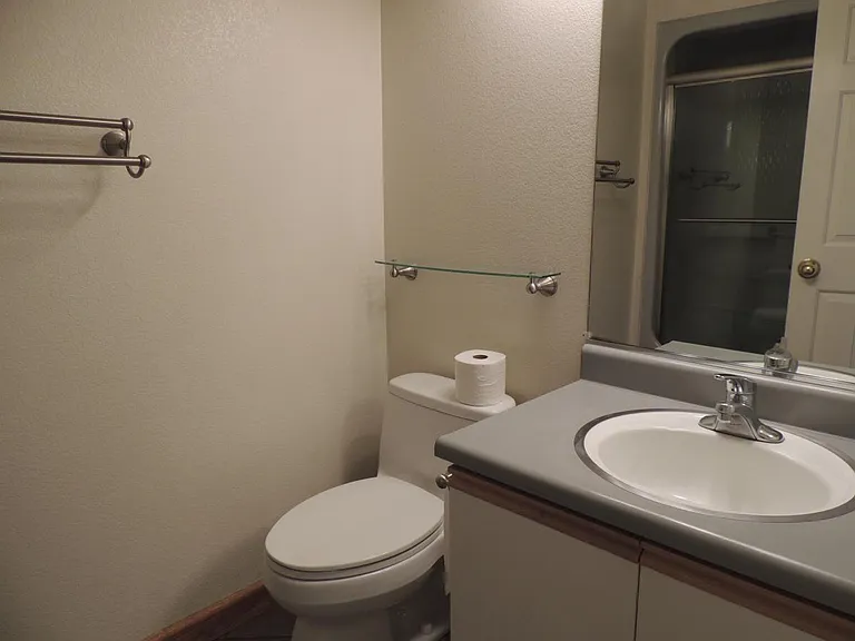 Guest Bath with Shower & Tub
