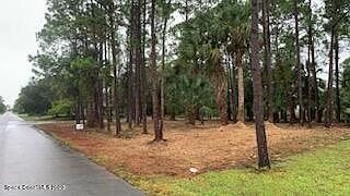 2nd image of 394 Tamarind Cir NW