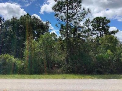 Starry St LOT 100, Orlando, FL, 32833