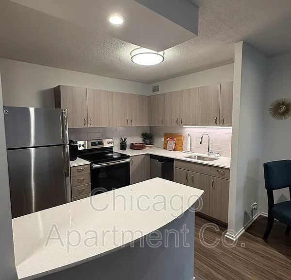 1135 N Dearborn St #402 — Photo 1