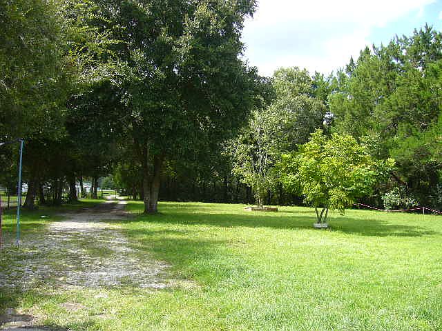 driveway front yard