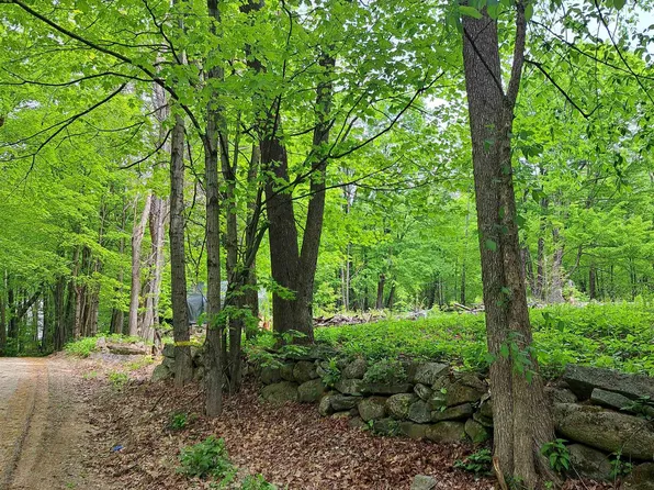 81 Hart Farm Road, Deering, NH 03244