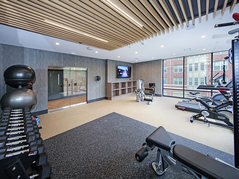 Cardio Equipment