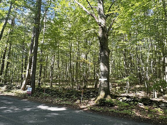 4th image of LOT 2 Daniels Rd