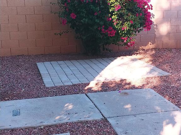 Yard Area