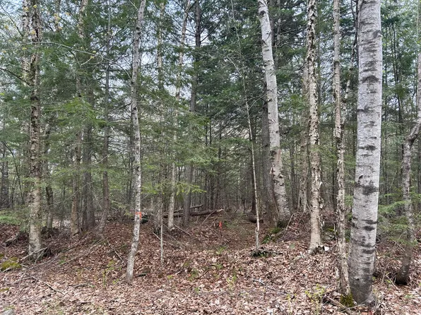 239 New Camp Road, Lincoln, ME 04457