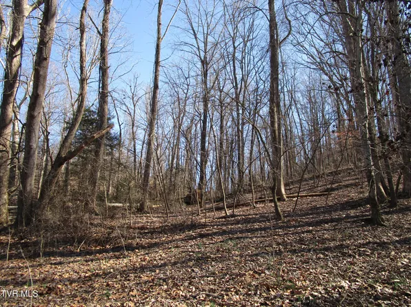 McCarty Church Rd, Jonesborough, TN 37659