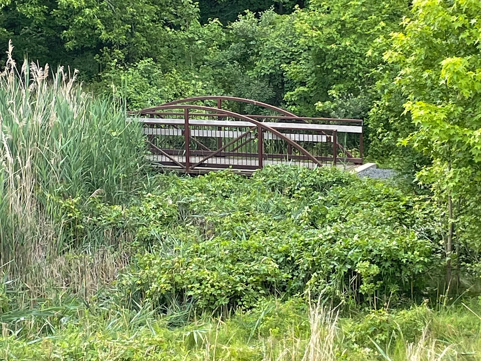 Lawley Dr, Lincroft — Photo 4