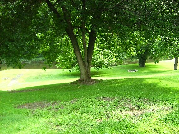 Beautiful Backyard