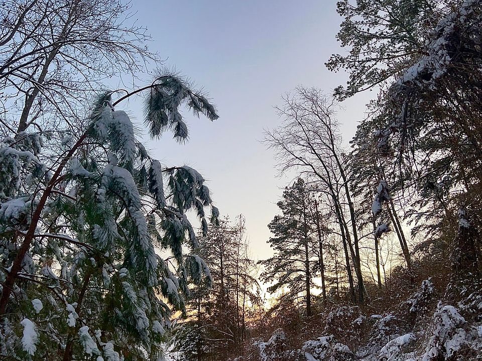 79th image of this home