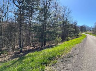 B 3 Dunn Rd, Pine Valley, NY 14872