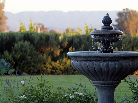 The birds love visiting the fountain!