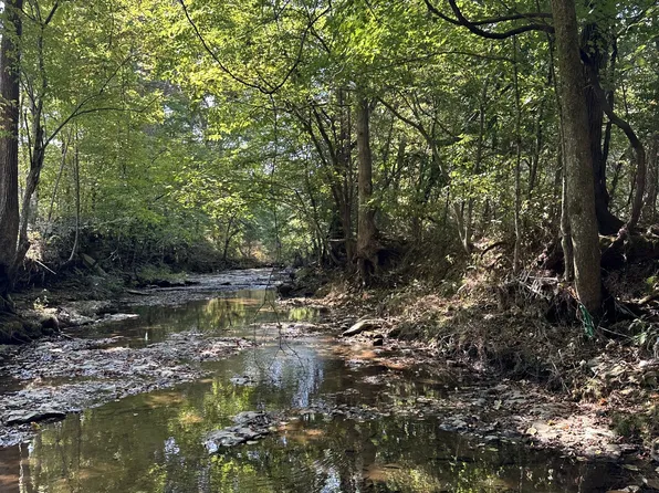 124 Truetts Pvt Trl Lot 4, Cottontown, TN 37048