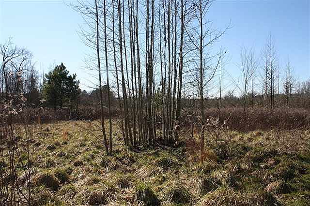 2nd image of TBD Mount Carmel Road
