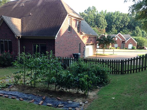 5th image of 8160 Rebecca Woods Dr