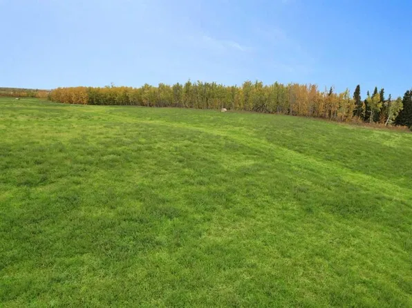 Range Road 91, Brazeau County, AB T0E 1K0