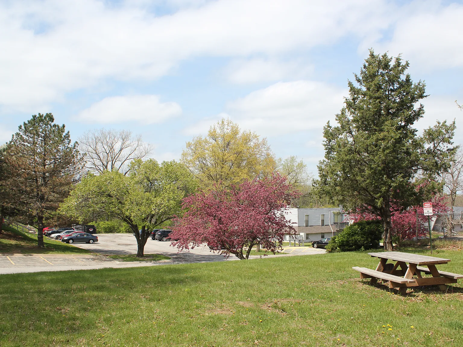 Stadium View Apartments — Photo 3