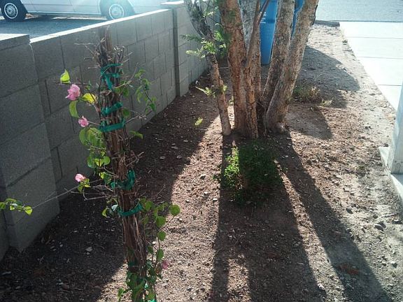 2nd image of 11002 N 16th Ave APT 1