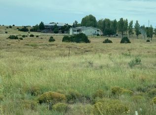 601 Taylor Farms Dr, Taylor, AZ 85939