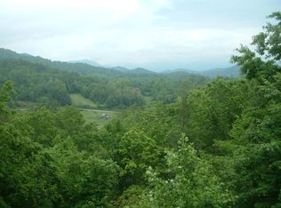 365 Pigglet Ln, Sylva, NC 28779