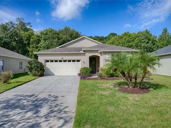 34435 Alameda Dr, Sorrento, FL 32776