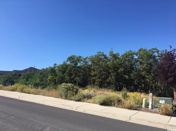 15224 S Tall Woods Dr, Draper, UT 84020