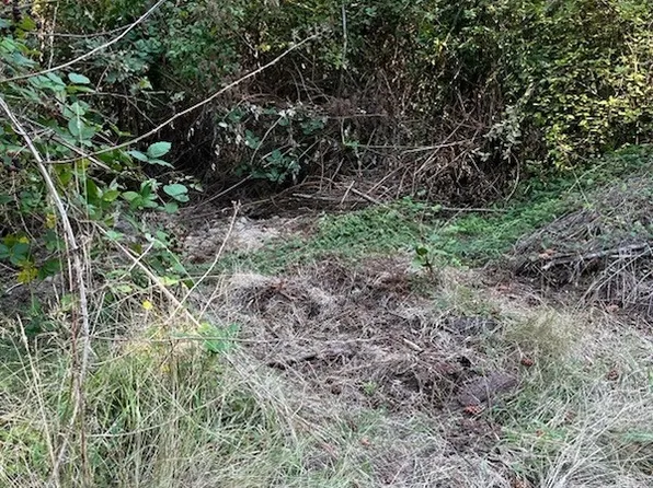 52 xx E Harbor Road, Freeland, WA 98249