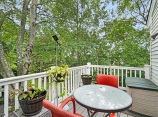 8 Larkspur Ct, Bedminster, NJ 07921
