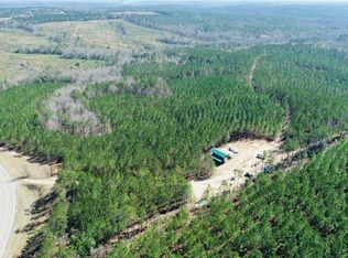 11800 Canyon Rd, Lumpkin, GA 31815