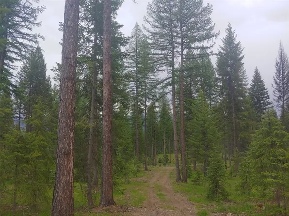 Nhn Off Styler Dr, Condon, MT 59826