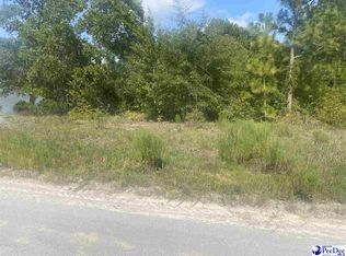 LOT 53 Doe Trl, Dillon, SC 29536