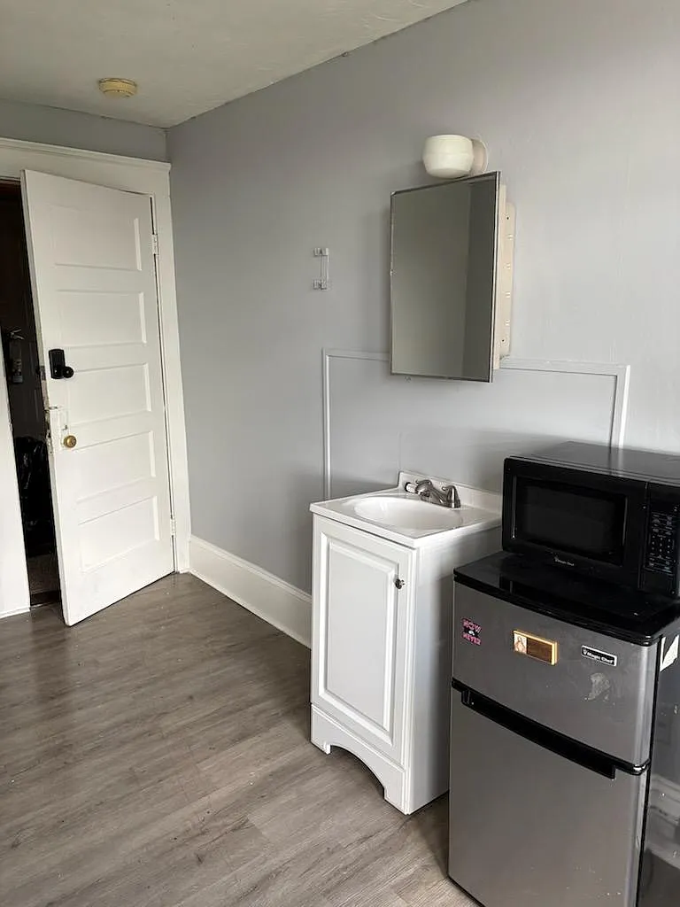 1 bed, 350 sqft, $900 — Photo 3
