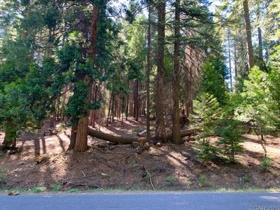 1681 Karock Rd, Arnold, CA, 95223
