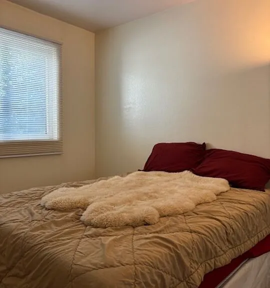 1119 Albany St #241 — Photo 11