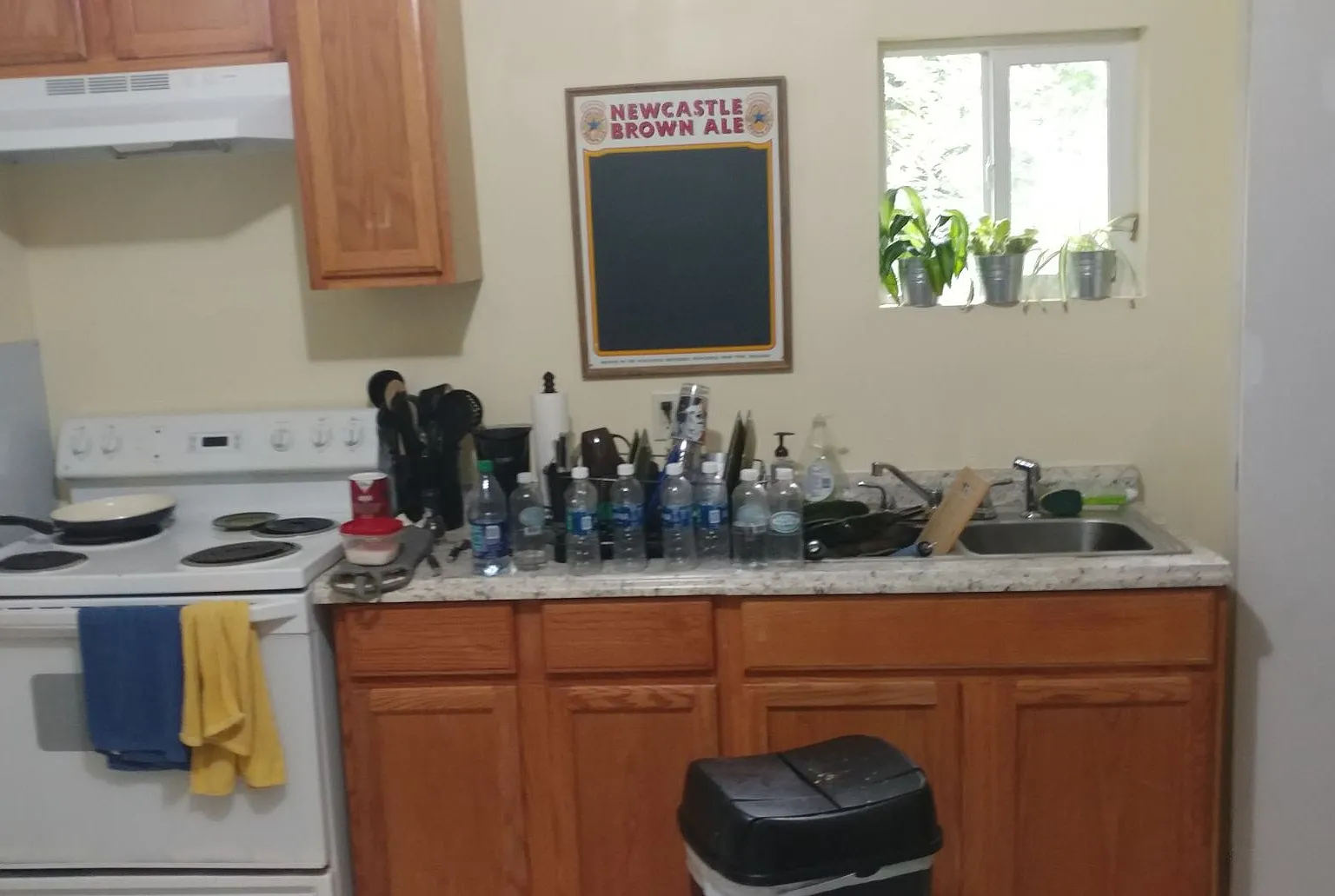 Studio, 450 sqft, $1,200 — Photo 1
