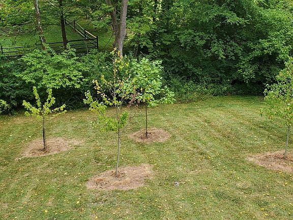 5th image of 978 Rustic Ct Lot 368 & 369