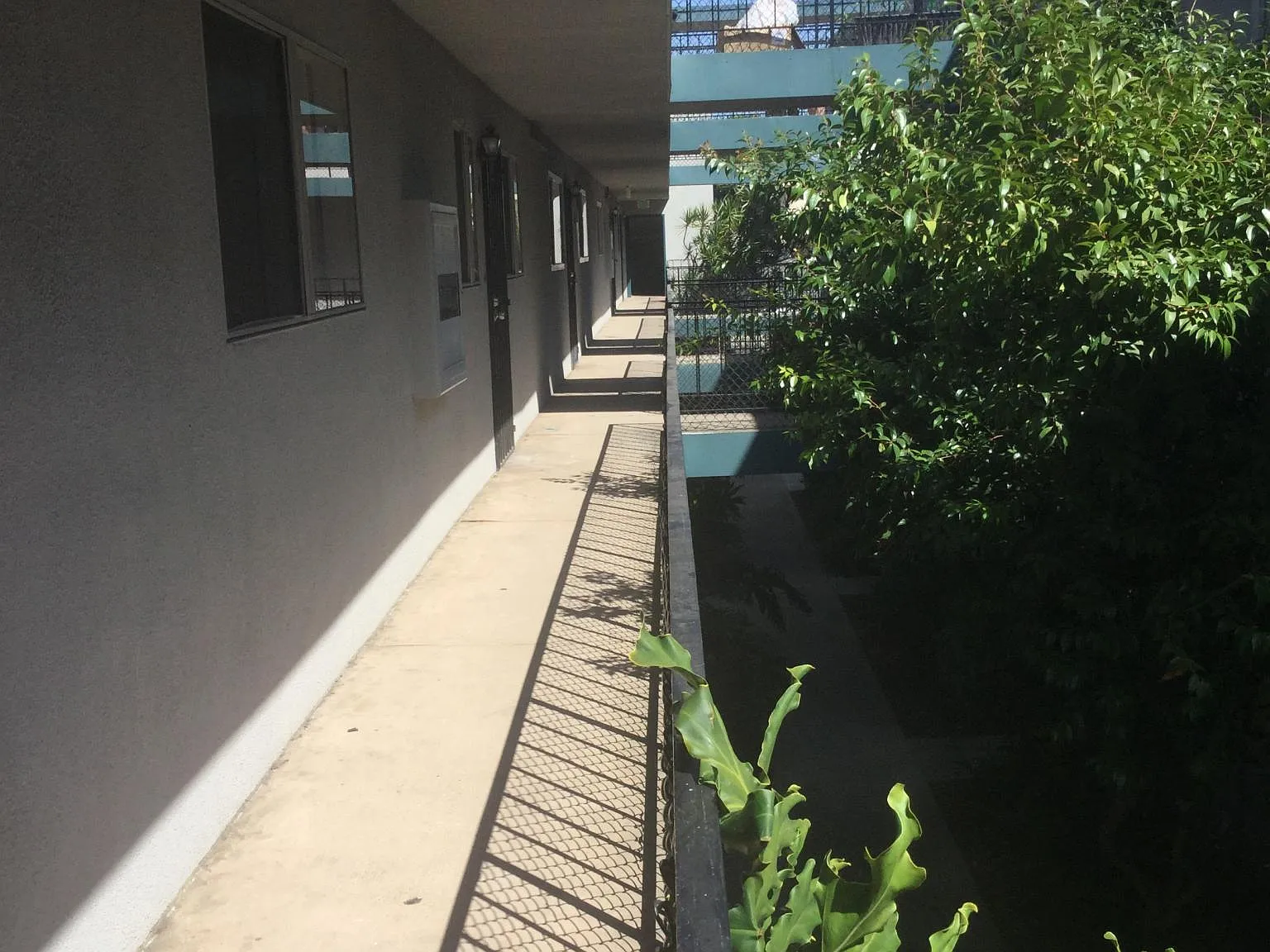 3 bed, 1.5 bath, 1050 sqft, $3,299 — Photo 3