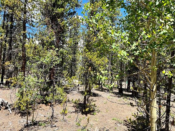 3rd image of 43 Elk Lane