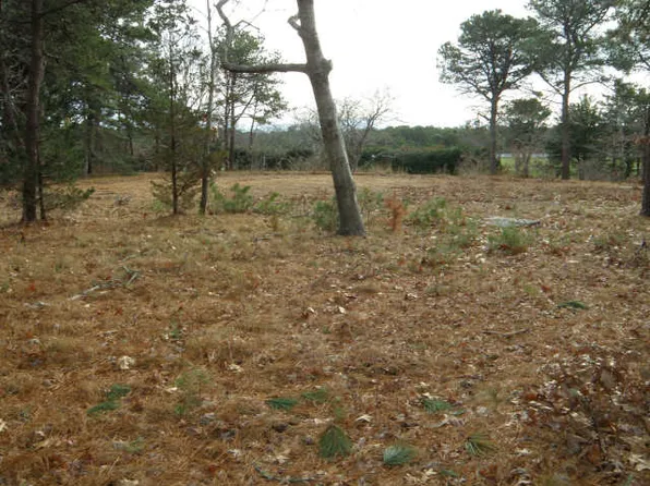 173 Katama Rd, Edgartown, MA 02539