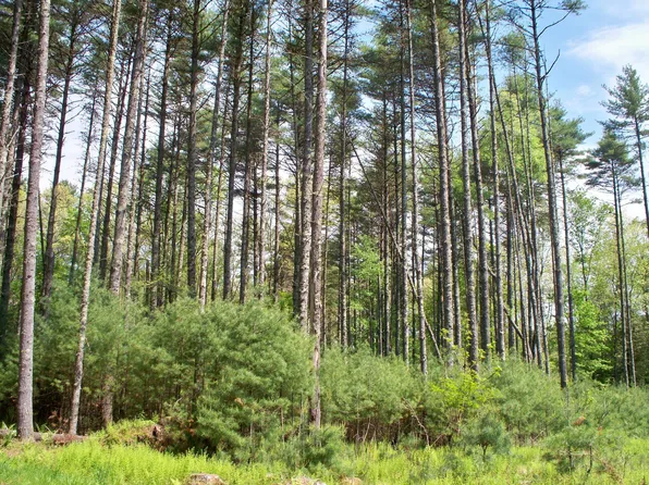 Beaver Creek Rd, Marlinton, WV 24954